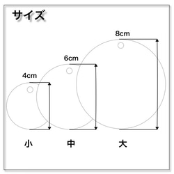  第5張的照片