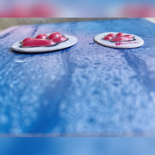 うちの子 ぷっくり キーホルダー 肉球【オーダー】9色以上 ペット服