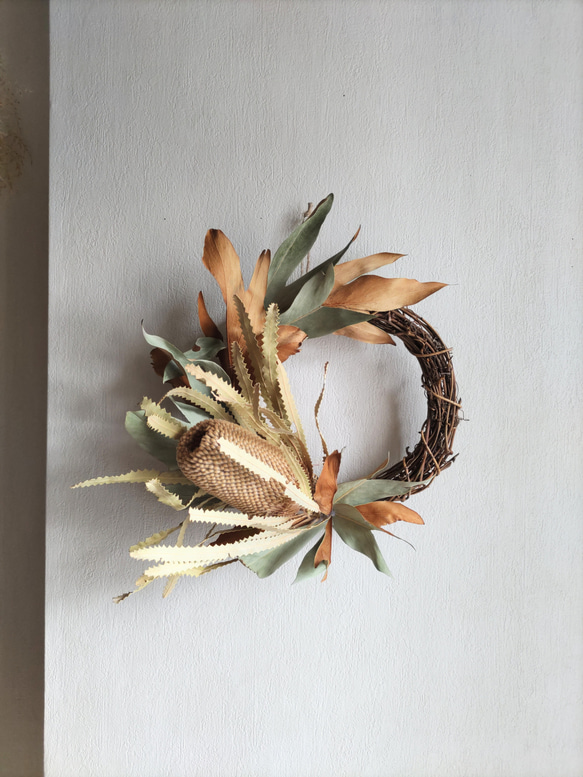 専用感謝sale＊大輪サルフレア＆グレビレア ドライフラワーリース