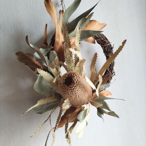 30㎝ ドライアンドラとコットンの大人ブラウンクリスマスリース