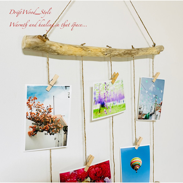流木インテリア 自由に写真を飾れるフォトディスプレイ 流木 写真ハンガー ウォールデコ 壁掛け N5 4枚目の画像