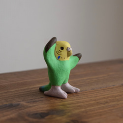 Dancing　Budgie 第2張的照片