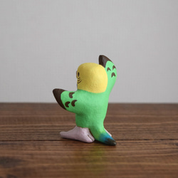 Dancing　Budgie 第6張的照片