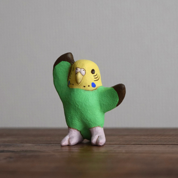 Dancing　Budgie 第7張的照片