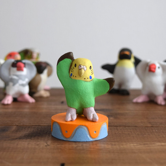 Dancing　Budgie 第1張的照片