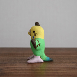 Dancing　Budgie 第9張的照片