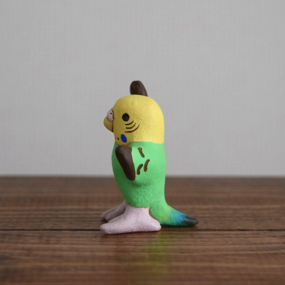 Dancing　Budgie 第9張的照片