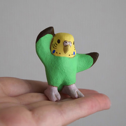 Dancing　Budgie 第4張的照片