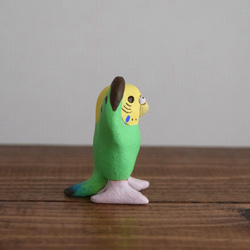 Dancing　Budgie 第10張的照片