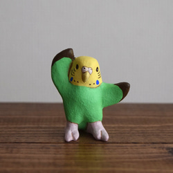 Dancing　Budgie 第3張的照片