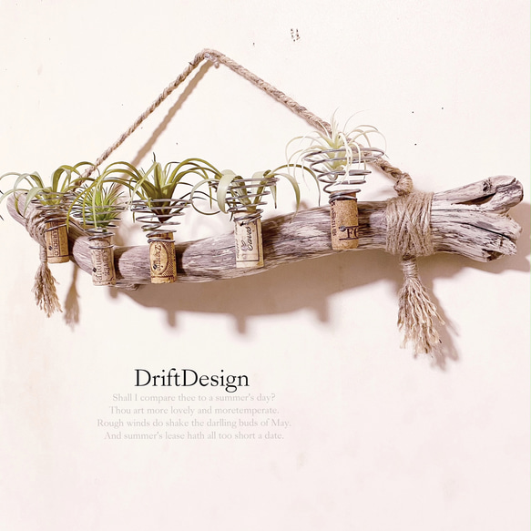 〜Drift Design〜　味わい流木のお洒落な多用途５連コルクホルダー　エアプランツ　造花　グリーン　植物 1枚目の画像