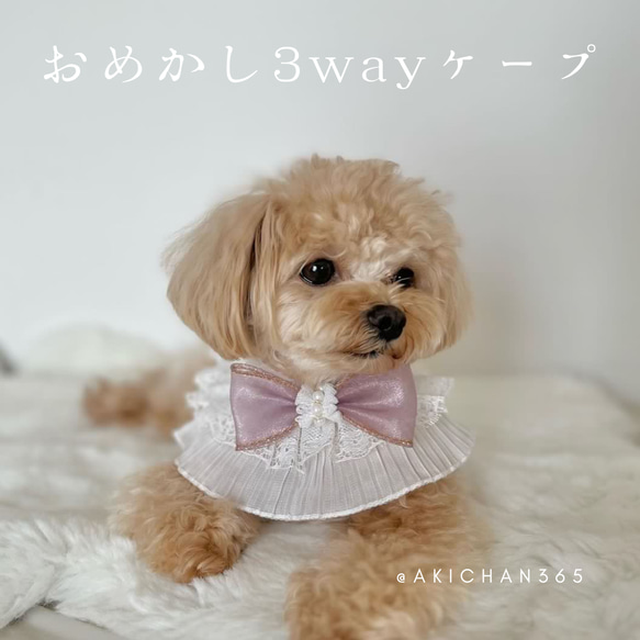 おめかし3wayケープ（誕生日、つけ襟、スタイ、犬、猫、うさぎ