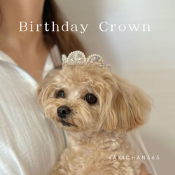 ミニ マーメイド クラウン（小型犬、超小型犬用）《バースデークラウン、王冠、冠、犬、猫、うさぎ、誕生日、1歳、》 1枚目の画像