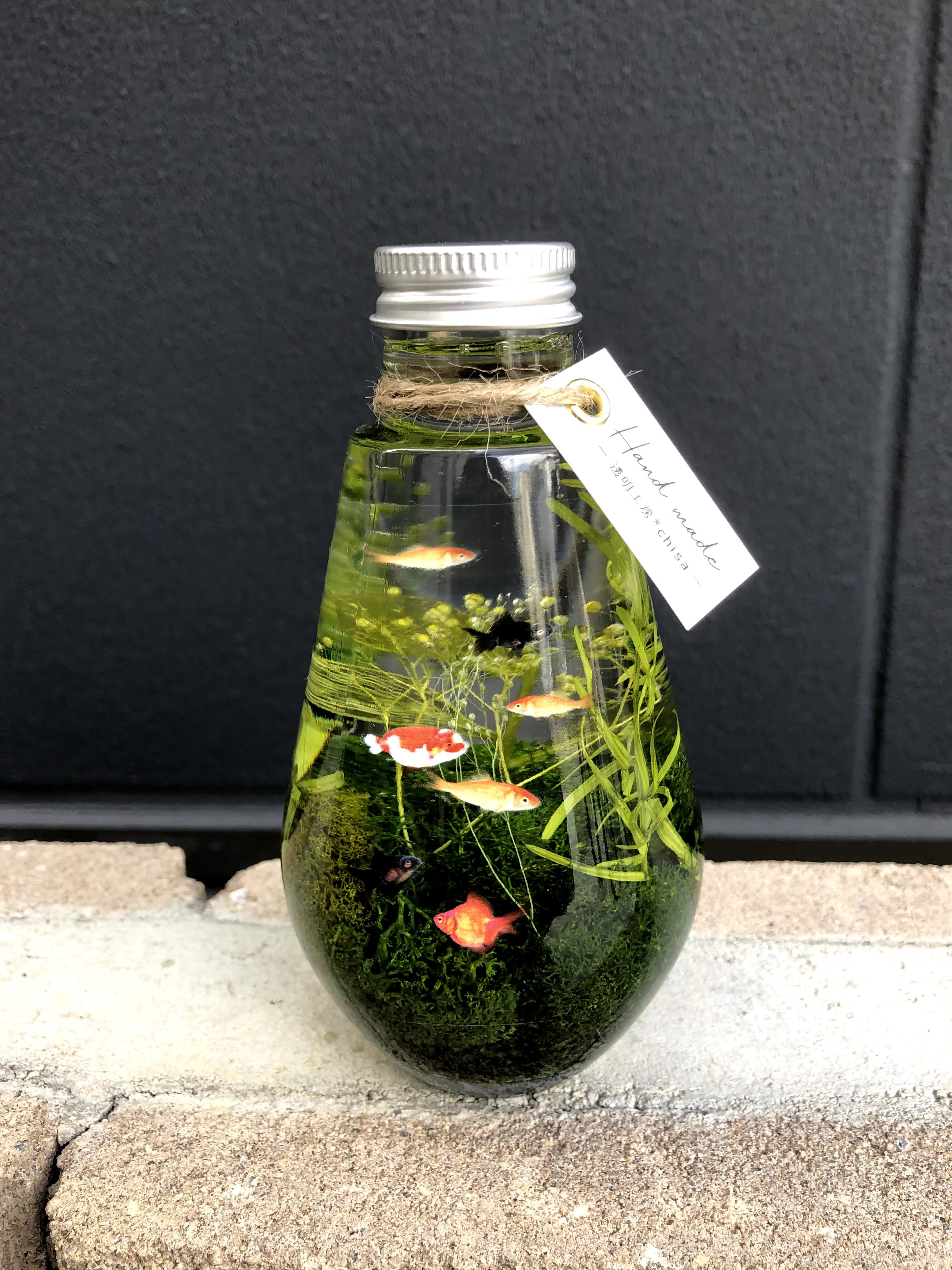 小さな水槽】金魚*ハーバリウム ハーバリウム・植物標本 透明