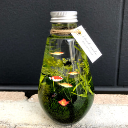 小さな水槽】クラゲ * ハーバリウムボールペン ペン・筆記用具 透明