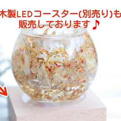 【おまけキャンドル&選べるラベル】「金魚と水中花のペリドットの金魚鉢」キャンドルホルダー＊誕生石 15枚目の画像