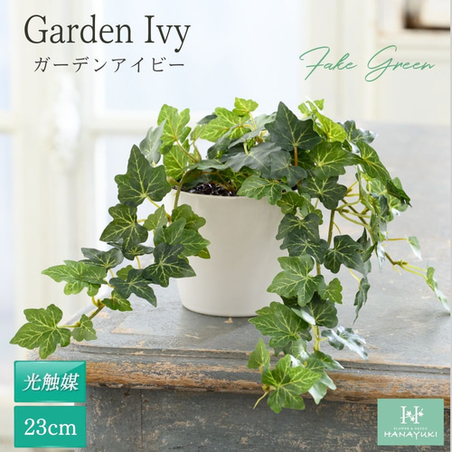 HANAYUKI フェイクグリーン ガーデンアイビー 卓上サイズ 23cm 光触媒