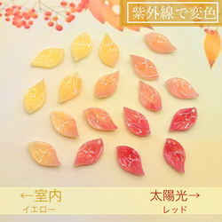 オリジナル変色パーツ★紅葉　もみじ　リーフのアセテートパーツ　イエロー→レッド 1枚目の画像