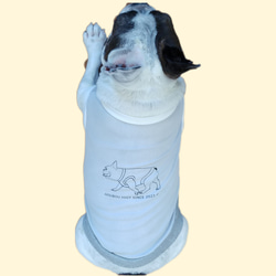 フレブル服　夏用　UV対策　速乾　タンクトップ　グレー　中型犬 7枚目の画像