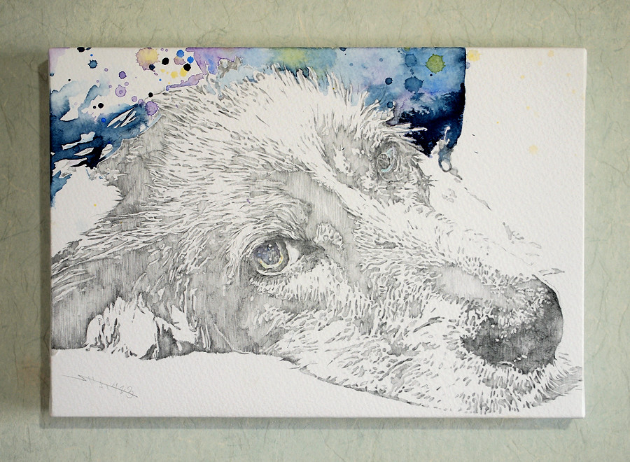 F 【鉛筆画／水彩画】(イングリッシュセター） 絵画 bloache