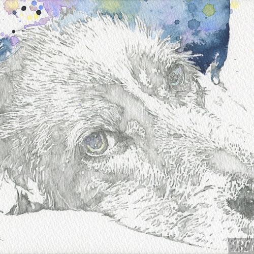 F 【鉛筆画／水彩画】(イングリッシュセター） 絵画 bloache