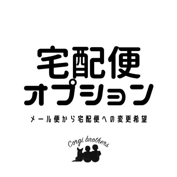 宅配便発送　追加料金オプション 1枚目の画像