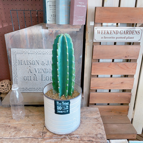 【専用】さぼてんさん さぼてん】特撰やわらかヒレかつサンド 4個セット