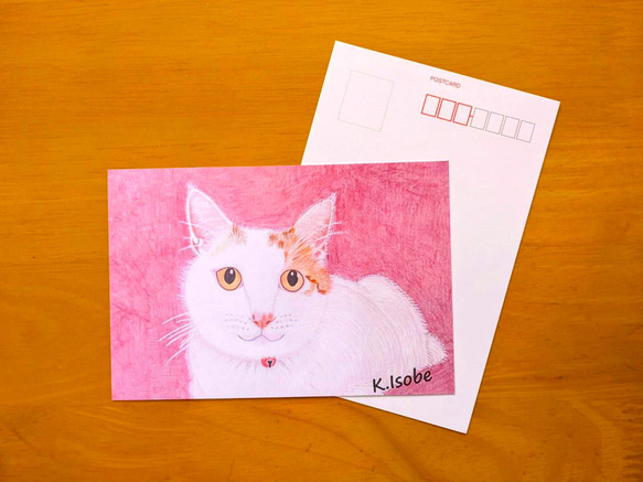 語りかけカード 美品】知育Ie・card アイカード フラッシュカード