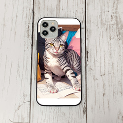 iphoneケース2-5-35 iphone 強化ガラス 猫・ねこ・ネコちゃん 箱20 かわいい アイフォン iface 1枚目の画像