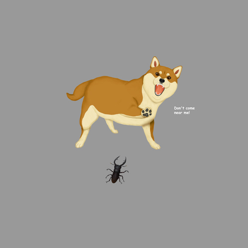 Tシャツ 怒る柴犬とクワガタ 濃色系 Tシャツ Miss.Curiosity 通販