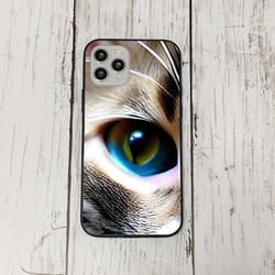 iphoneケース3-1-11 iphone 強化ガラス 猫・ねこ・ネコちゃん 箱20 かわいい アイフォン iface 1枚目の画像