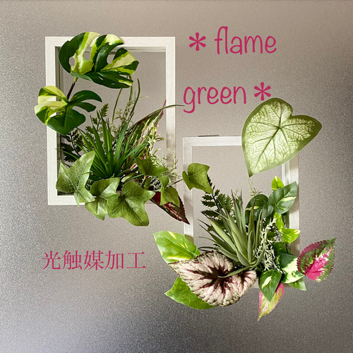 ☆光触媒加工flame green［L&M ブラウン］☆フェイクグリーン壁掛け