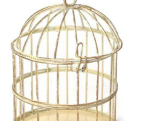 ed99ebb4de06806ac63f8740bc0567