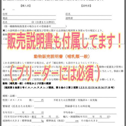 『ブリーダーに興味がある人は必見★動物取扱業マニュアル&販売契約書セット』 6枚目の画像