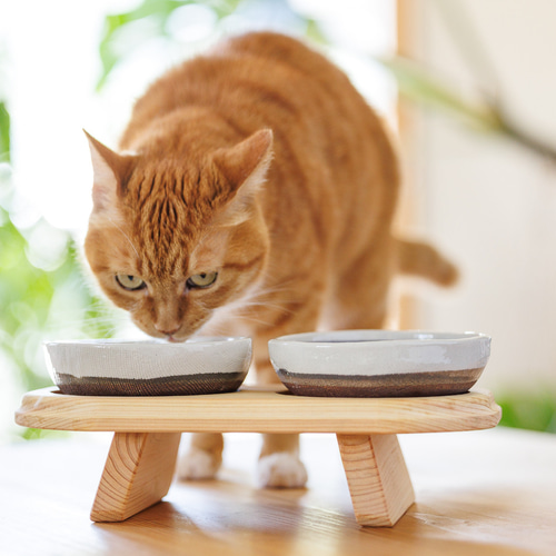 猫用食器台（テーブルのみ） 【食器テーブル・ペット用・餌台・木製