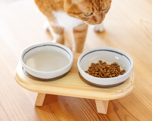 楽天市場】猫用 フードボウル エサ入れ 天然木 無垢材 猫 犬 餌