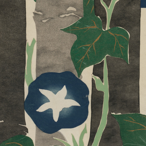 【NO.482】朝顔と竹林の日本画アートポスター☆夏和モダン植物浮世絵☆ハガキ2L判A4A3A2A1B5B4B3B2B1 3枚目の画像