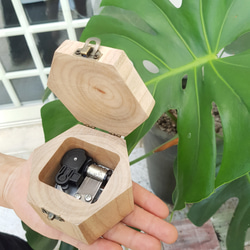 原木樟木 六角造型音樂盒 龜背竹 搭配Totoro龍貓曲目 可刻字客製 第3張的照片