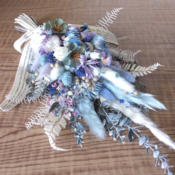現品】①希少レア パキラ・ムーンライト 斑入り 観葉植物 高さ