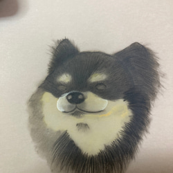 犬　猫　ペット　イラスト　世界で１つ　オリジナル　似顔絵　パーチメント　プレゼント 2枚目の画像