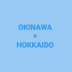 【HOKKAIDO×OKINAWA】幸せを運ぶ光る星の砂入り✨シマエナガミニディフューザー グレープフルーツの香り 6枚目の画像