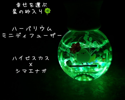 9b0689c894cf4576569922568e2446