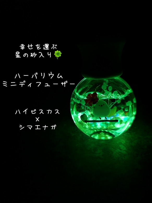 【HOKKAIDO×OKINAWA】幸せを運ぶ光る星の砂入り✨シマエナガミニディフューザー グレープフルーツの香り 1枚目の画像