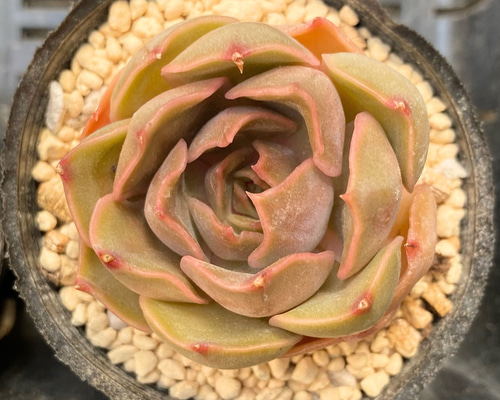 dff2886e118bda97264ce8b71b2d92