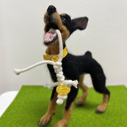 スローロリス 悲しげ 羊毛フェルト Wool Whisper 通販 13270313