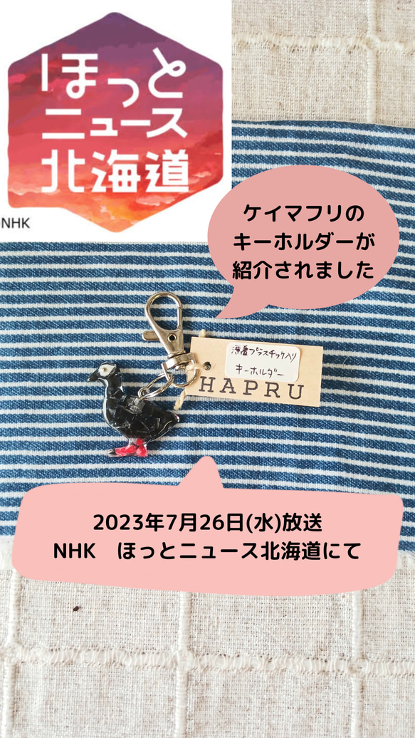 再販 ケイマフリ 海洋プラスチック 漂着プラスチック sdgs キーホルダー 海鳥 アップサイクル バッグチャーム 9枚目の画像