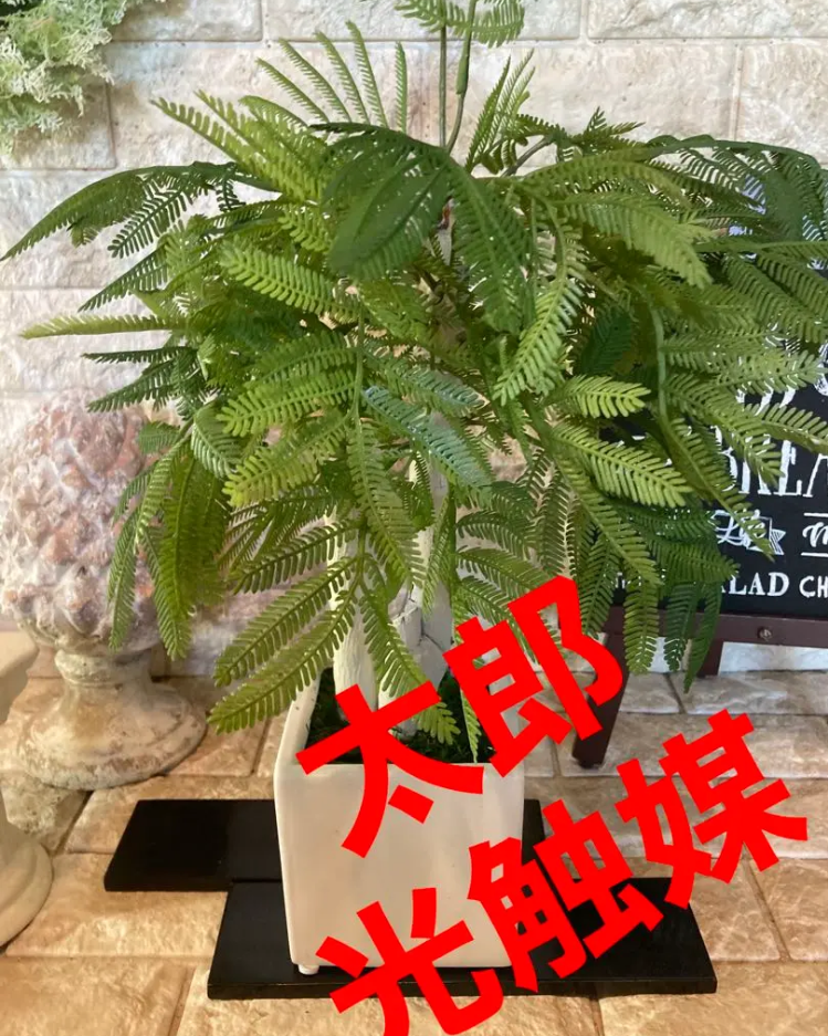 光触媒　人工観葉植物　ウォールグかリーン　フェイクグリーン　エバーフレッシュ23 光触媒 人工観葉植物 ウォールグかリーン フェイクグリーン