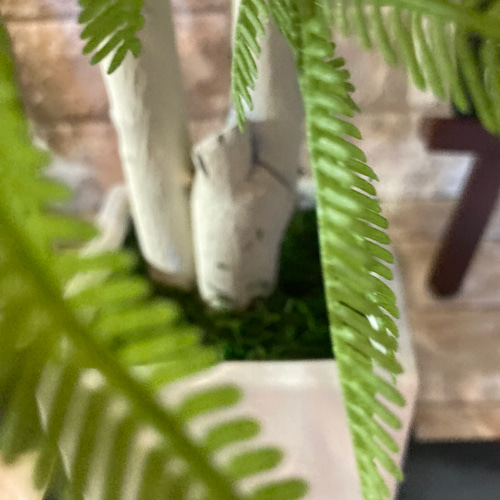 光触媒　人工観葉植物　ウォールグリーン　ジョイントエバーフレッシュ 光触媒 人工観葉植物 ウォールグリーン フェイクグリーン