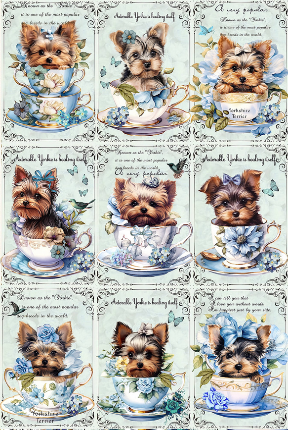 ♡ヨークシャテリア、オーダーページ② ♡ヨークシャテリア、オーダーページ②