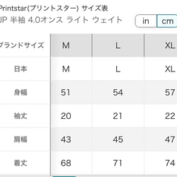 ケセラセラTシャツ L 4.0オンス　ライトウェイト 5枚目の画像